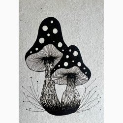 Kunstkort - Svampe 2