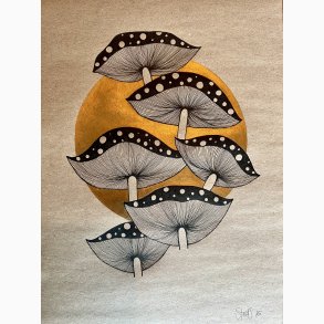 Amanita Muscaria - Japansk serie