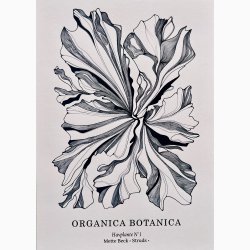 Havplante ORGANICA BOTANICA