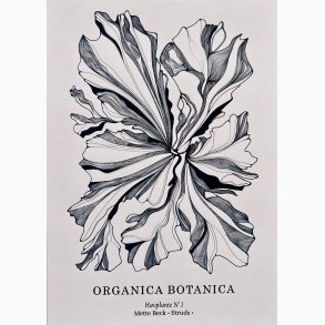 Havplante ORGANICA BOTANICA