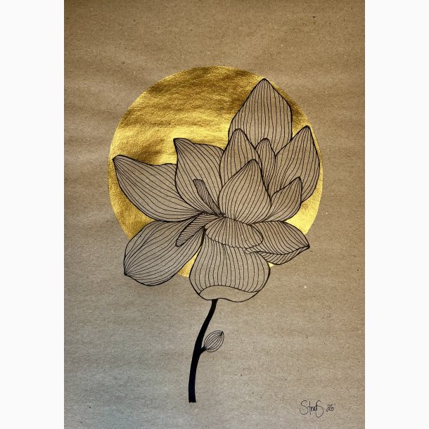 Sakura - Japansk serie 